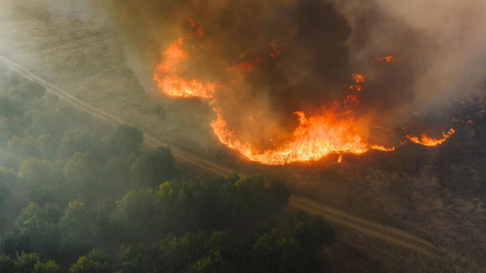fires.png