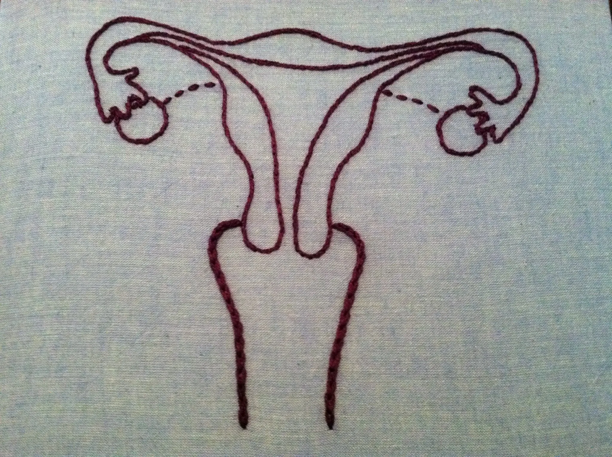 «Uterus Embroidery Art» by Hey Paul Studios | Πηγή: flickr.com/photos/hey__paul/5925418680 | Άδεια: CC BY 2.0 (creativecommons.org/licenses/by/2.0)